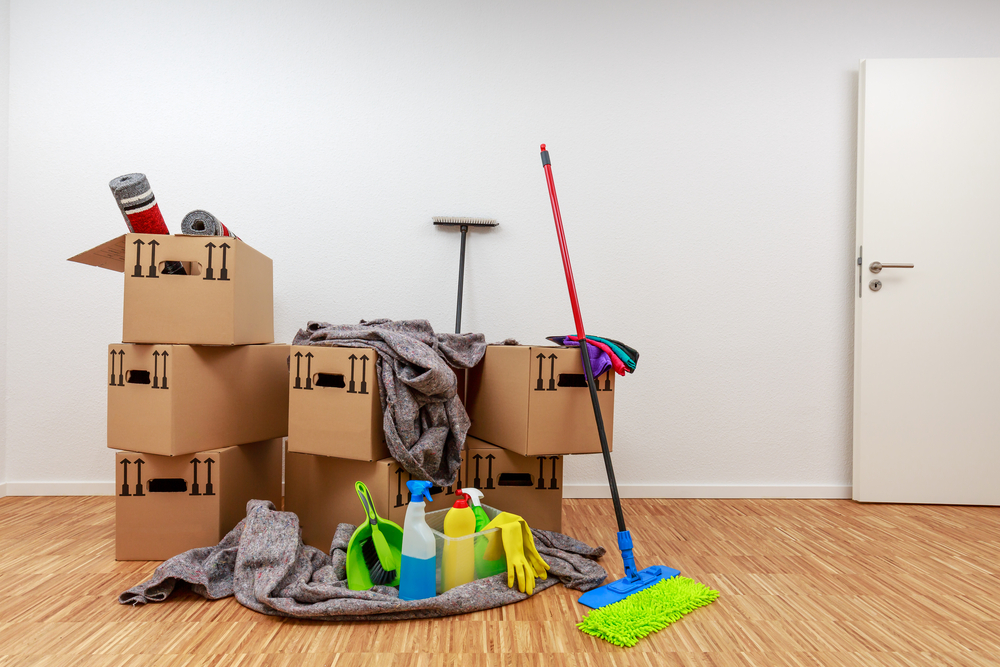 Move-In / Move-Out Cleaning