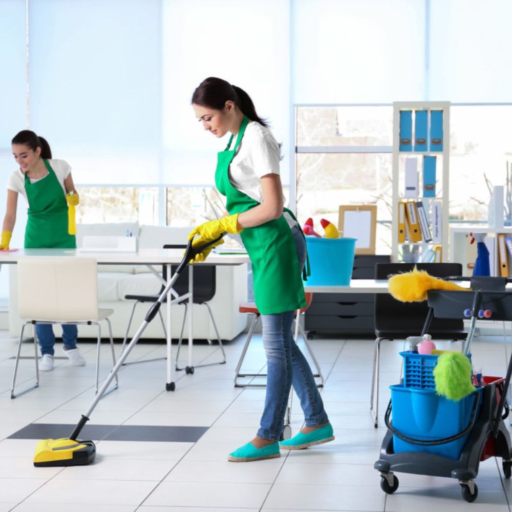 Regular Cleaning